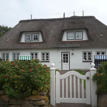 Seepferdchen