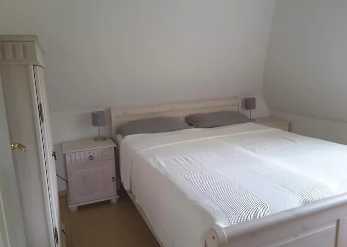 Seepferdchen * Nebel