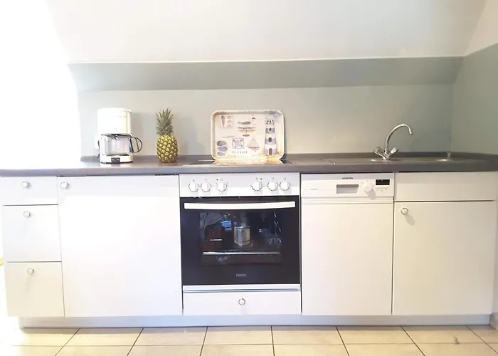 Seepferdchen * Nebel